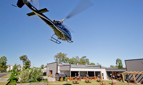 fly byron experience sanctus brewery tour